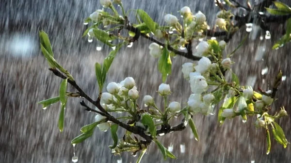 Καιρός 18/1: Βροχερό το σκηνικό σήμερα - Πέφτει η θερμοκρασία