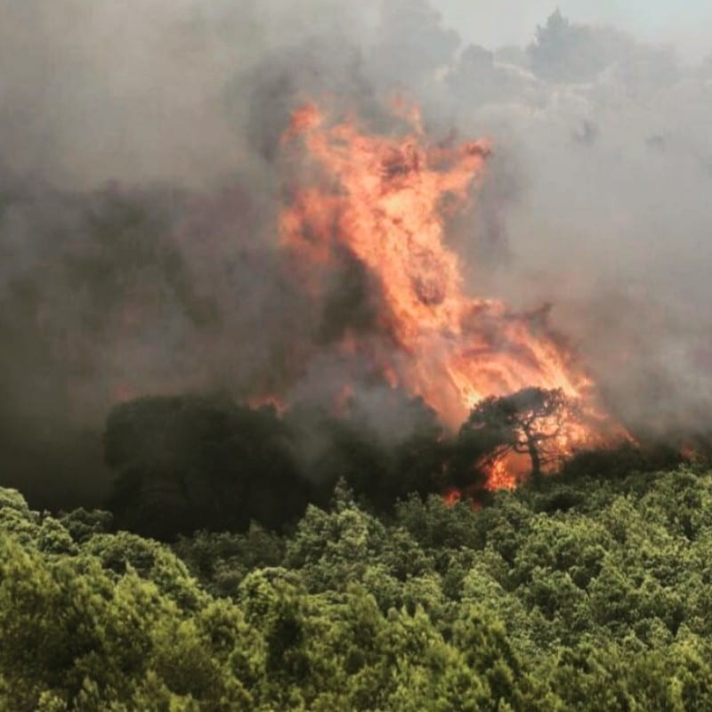 Δραματικές ώρες για την Βασιλική Δάρρα