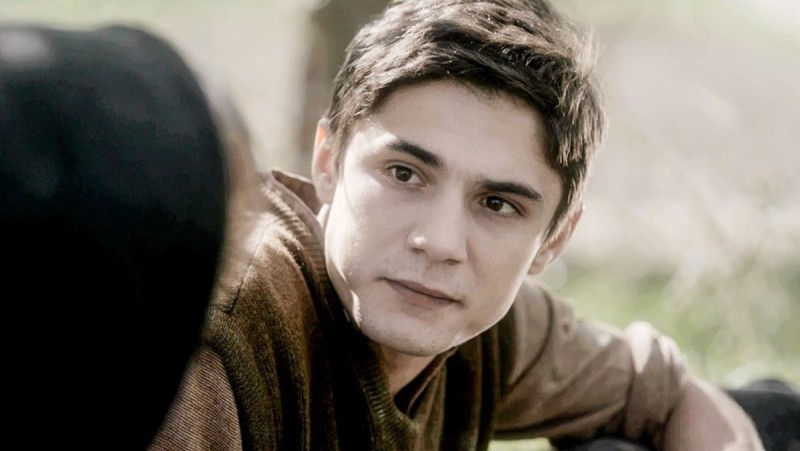 Κώστας Νικούλι Άγριες Μέλισσες