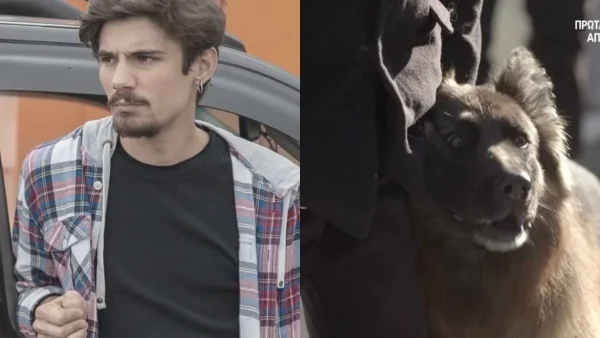 Σασμός: «Ράγισε καρδιές» η σκηνή με τον σκύλο του Πετρή στην κηδεία - «Δεν μας αξίζει η αγάπη τους»