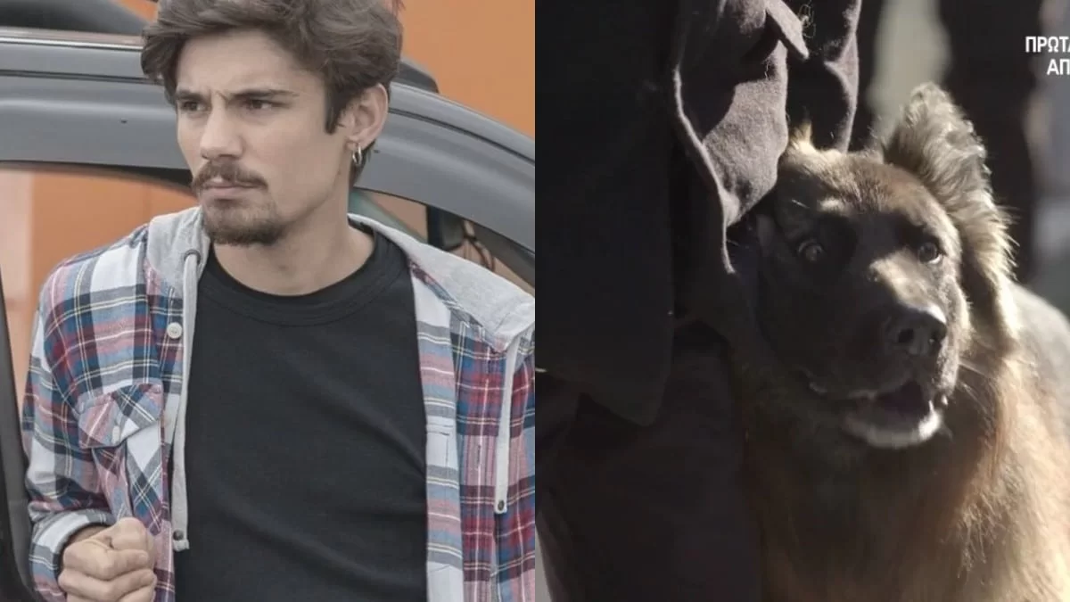 Σασμός: «Ράγισε καρδιές» η σκηνή με τον σκύλο του Πετρή στην κηδεία - «Δεν μας αξίζει η αγάπη τους»