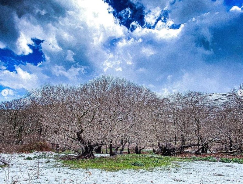 Όναρ Μενεγάκη Γαία Μερκούρη