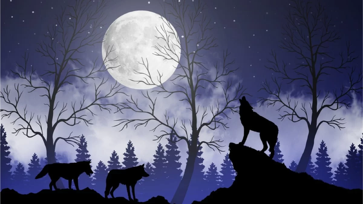 Καμπανάκι κινδύνου από την Μπήλιου για Καρκίνους, Ζυγούς και...  - Πανσέληνος του Λύκου στις 18/1