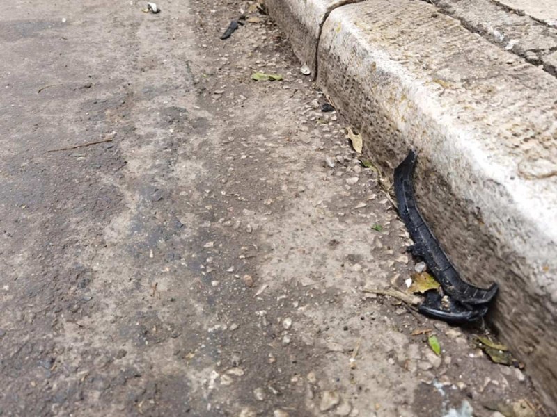 Πάνος Νάτσης - Πέθανε