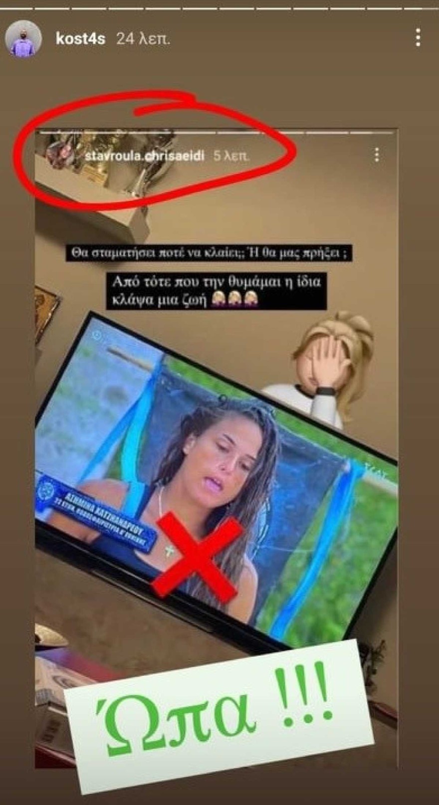 Survivor - Ανάρτηση