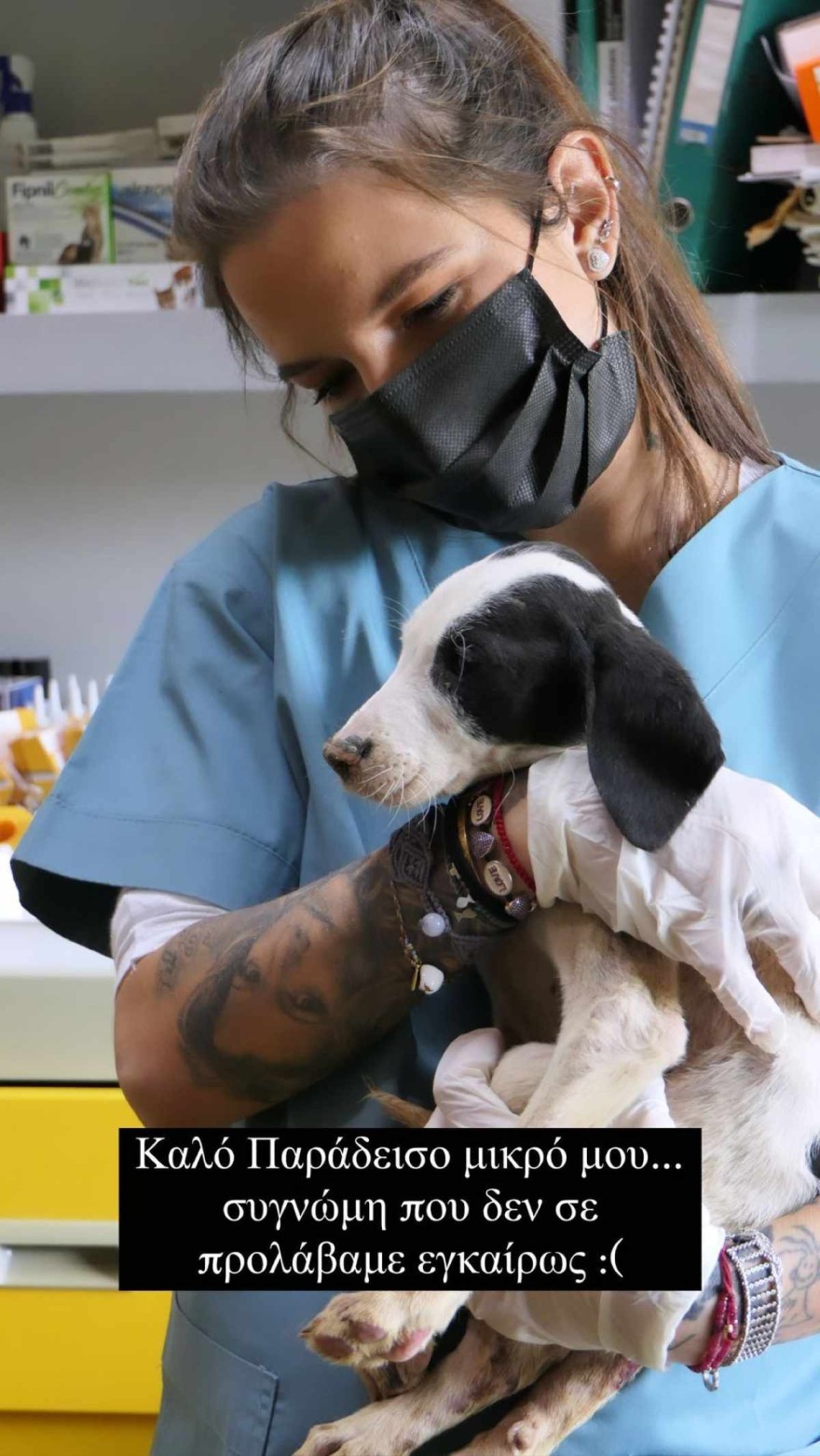 Ανάρτηση Εριέττας Κούρκουλου