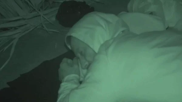 Survivor 5: Δύσκολες ώρες για την ομάδα των Διασήμων - Τι συνέβη;