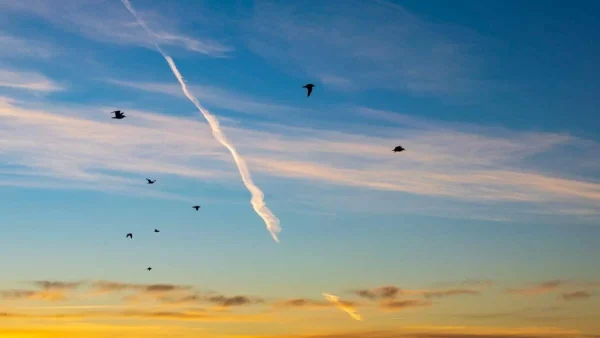 Καιρός (20/2): Καλοκαιρινή Κυριακή - Μέχρι πού θα φτάσει η θερμοκρασία