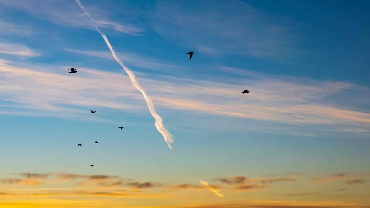 Καιρός (20/2): Καλοκαιρινή Κυριακή - Μέχρι πού θα φτάσει η θερμοκρασία