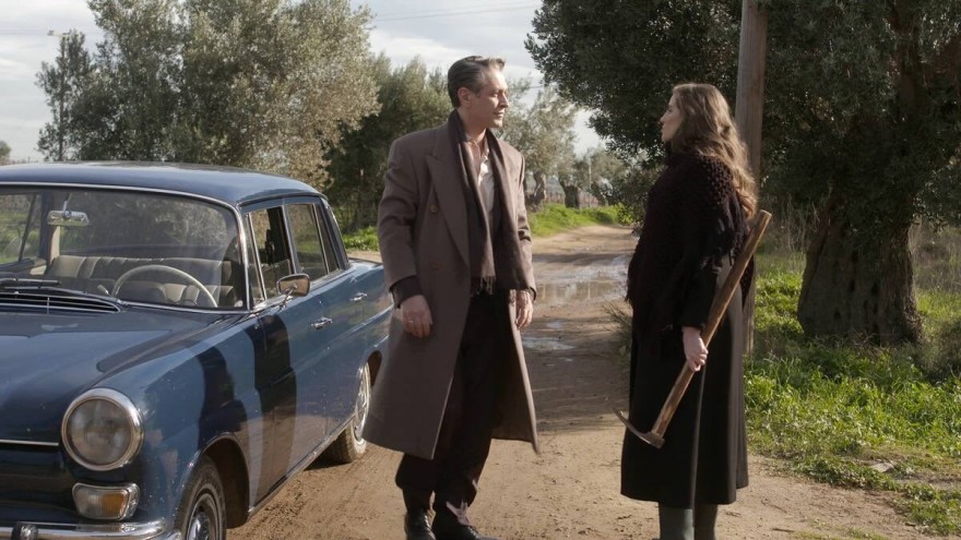 Άγριες Μέλισσες, Ακύλας.