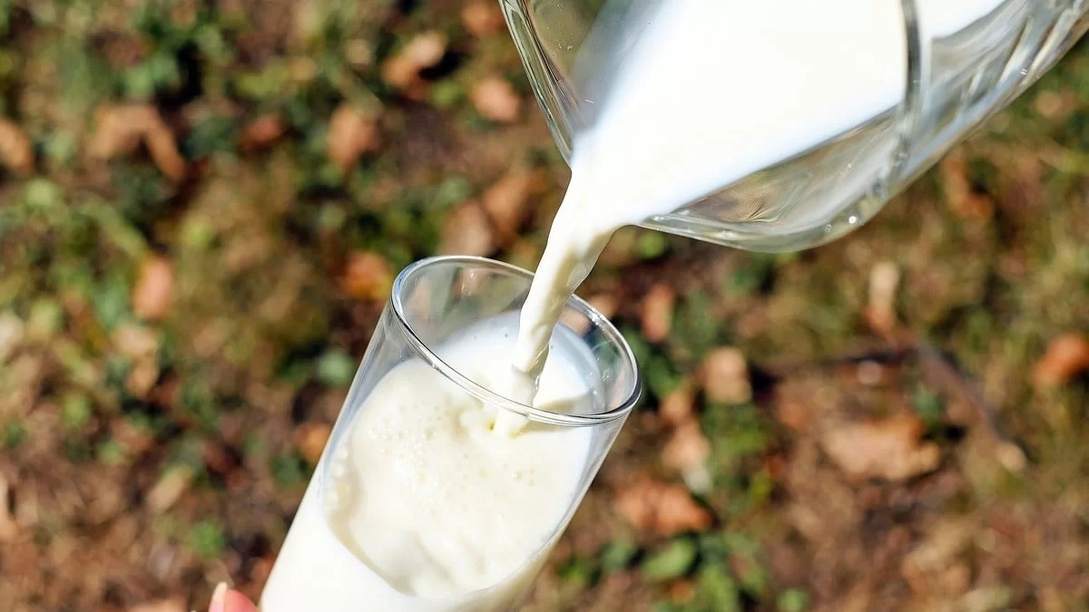 Το ήξερες; Το γάλα κατσαρίδας θεραπεύει από...