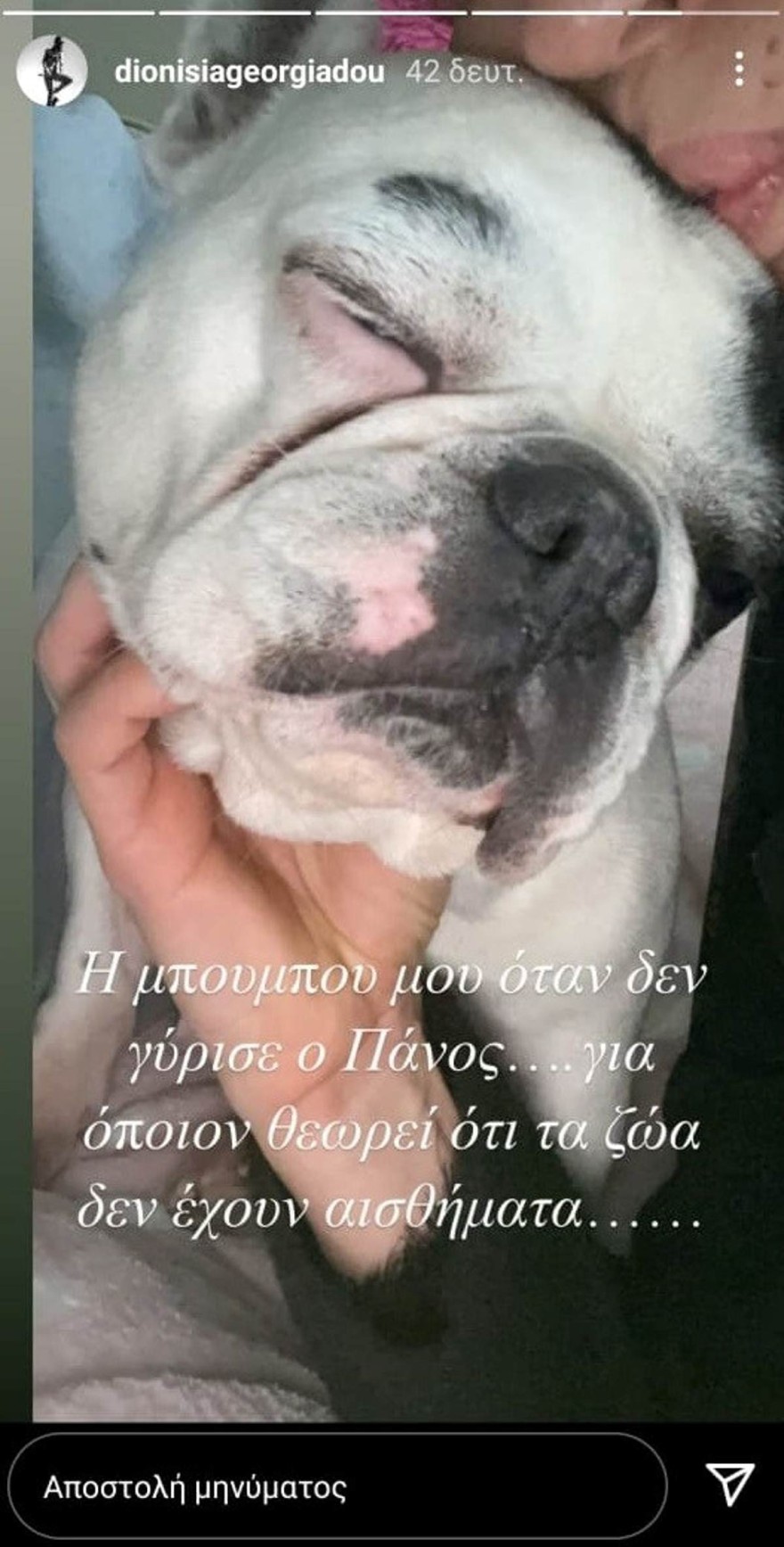 Πάνος Νάτσης σύντροφος