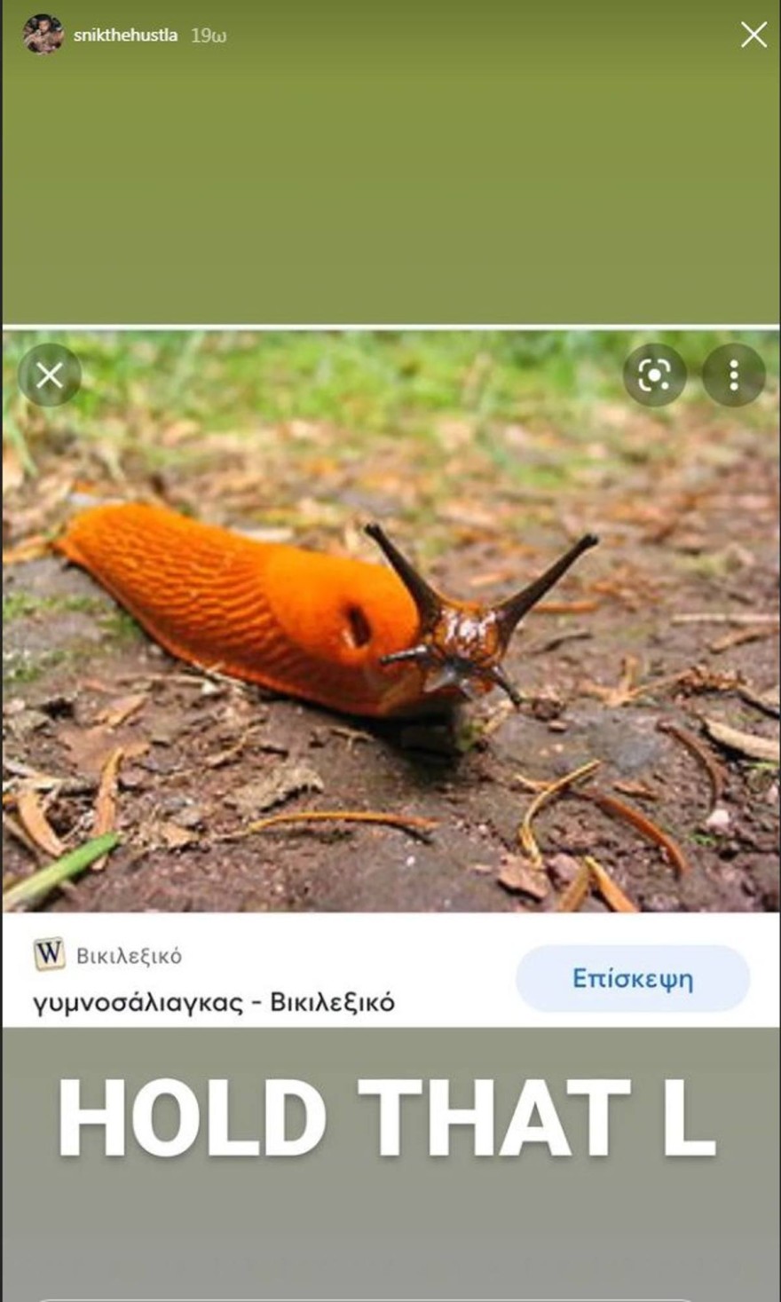 Η ανάρτηση του Σνικ