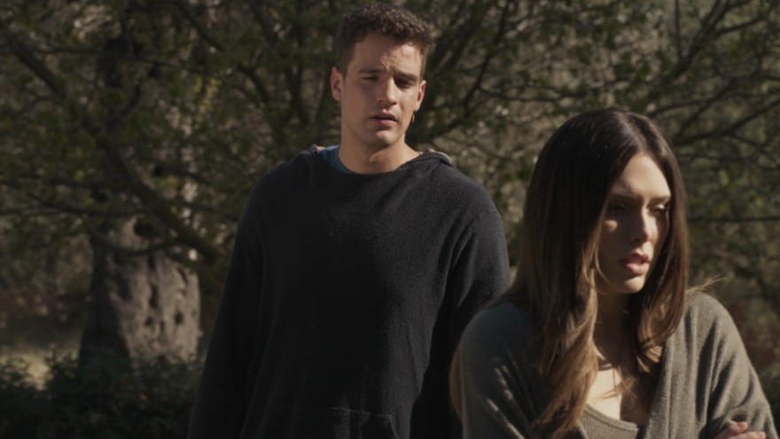 Γη της Ελιάς Στέφανος Μυρτάλη