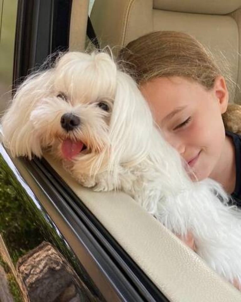 Η τρυφερή ανάρτηση του Χατζηνικολάου