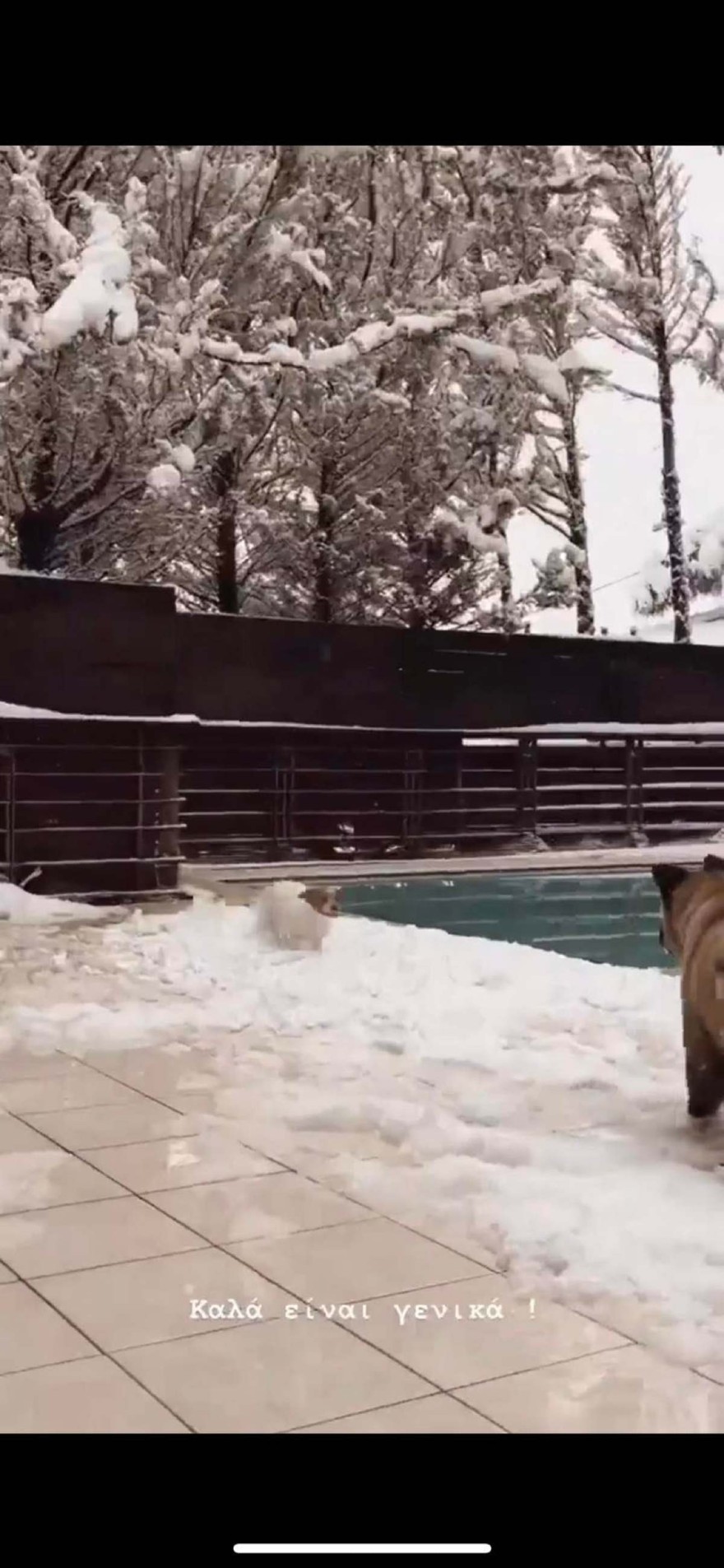 Η Αυλή της Αλεξανδράκη