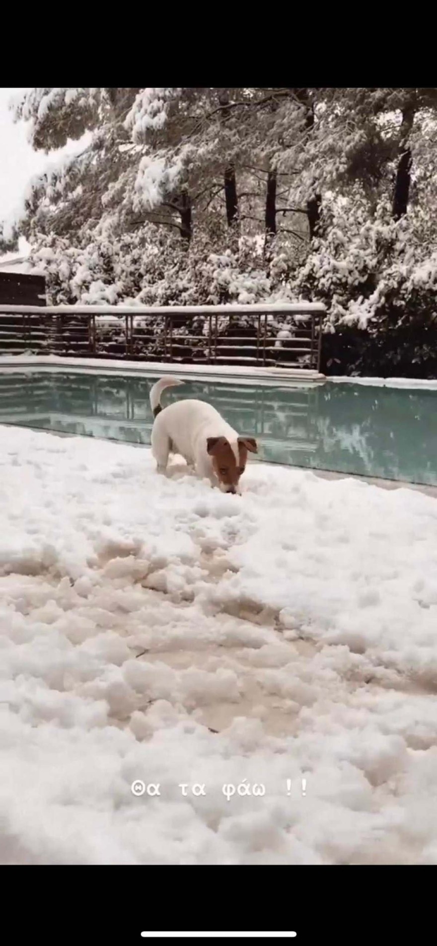 Φωτογραφία από την αυλή της Δήμητρας Αλεξανδράκη