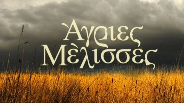 Άγριες Μέλισσες: Το διαζύγιο, η εγκυμοσύνη και η μεγάλη ανακάλυψη