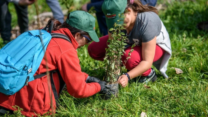 γαλακτοκομείο ροδόπη