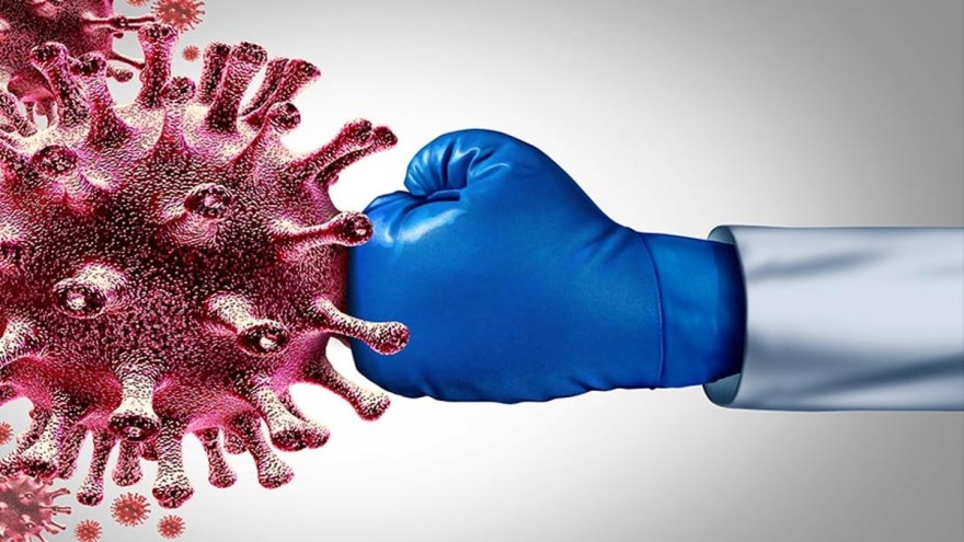 Τα κρούσματα του ιού