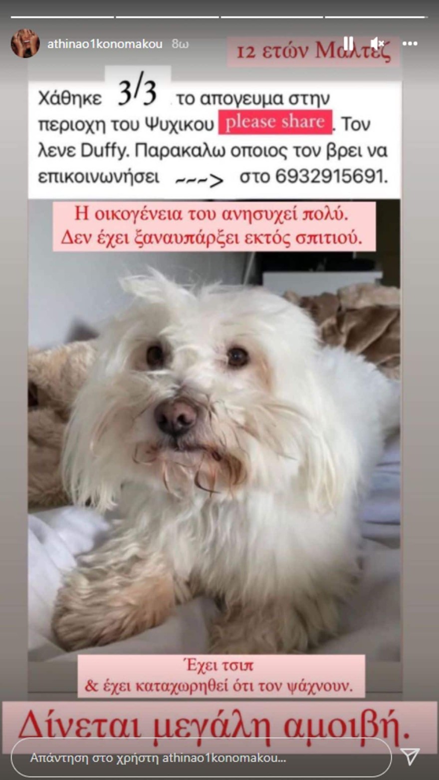Αθηνά Οικονομάκου έκκληση εξαφάνιση σκύλου