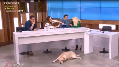 Ο Δημήτρης Ουγγαρέζος έσκισε το παντελόνι του για δεύτερη φορά - Έμεινε άφωνη η Μενεγάκη