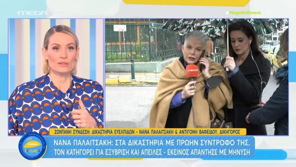 Στα δικαστήρια με πρώην σύντροφό της η  Νανά Παλαιτσάκη: «Πρέπει το κάθε θύμα να αφήσει το σκοτάδι»