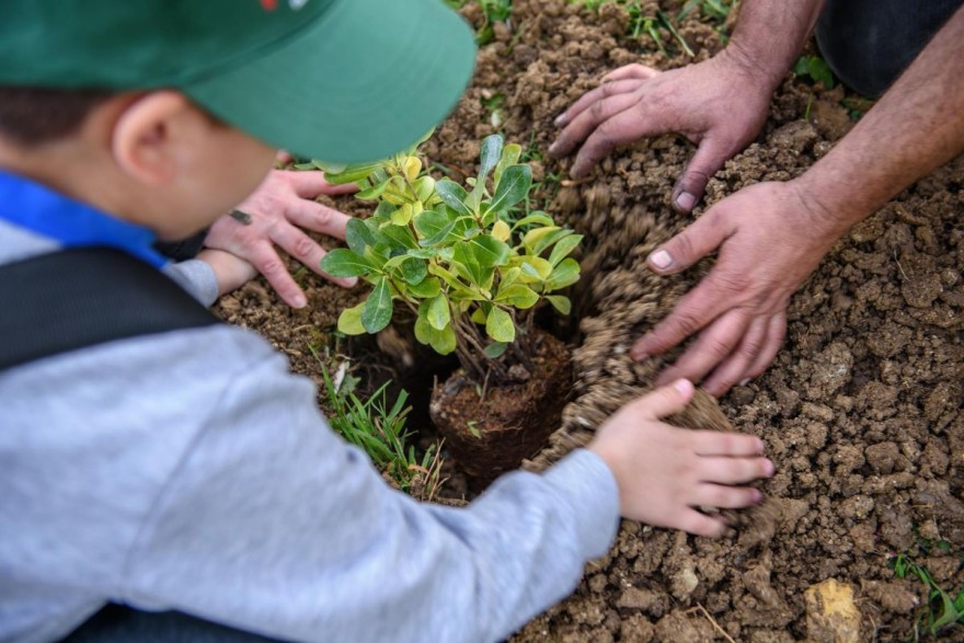 γαλακτοκομείο ροδόπη
