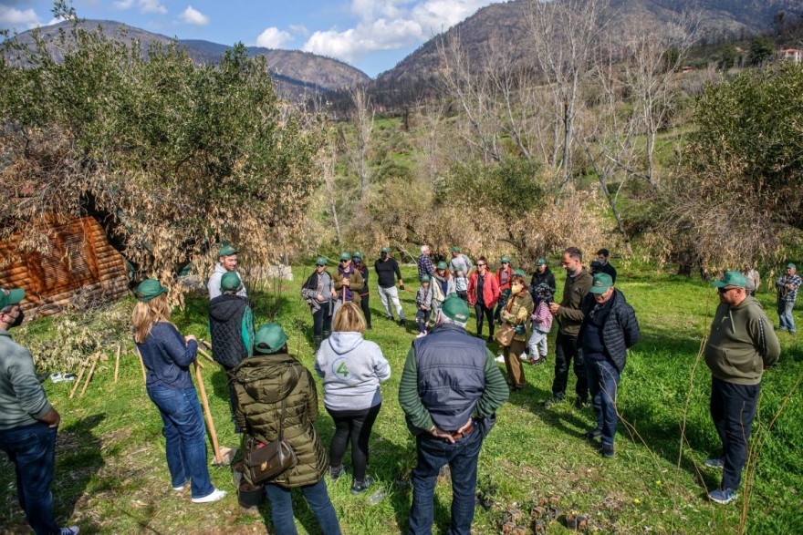 γαλακτοκομείο ροδόπη