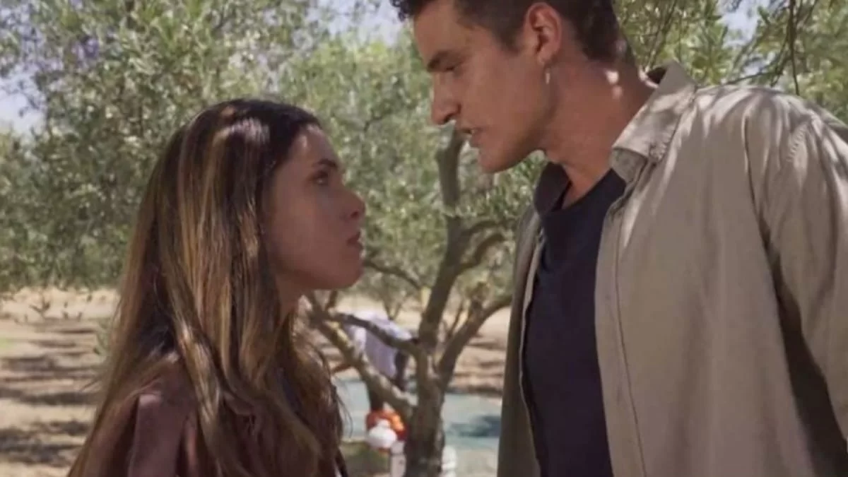 Γη της Ελιάς: Ο Στέφανος θα βρεθεί αντιμέτωπος με την σκληρή πραγματικότητα