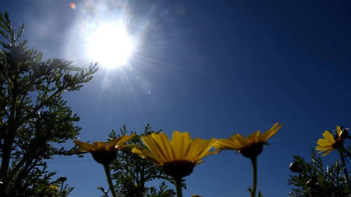 Αίθριος ο καιρός και σήμερα 14/4 - Ανεβαίνει η θερμοκρασία