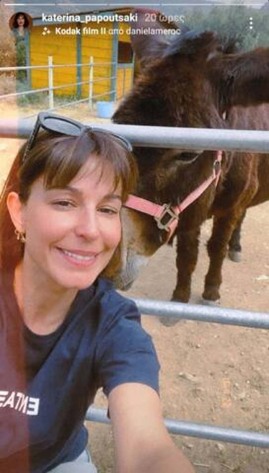 Κατερίνα Παπουτσάκη - Ανάρτηση