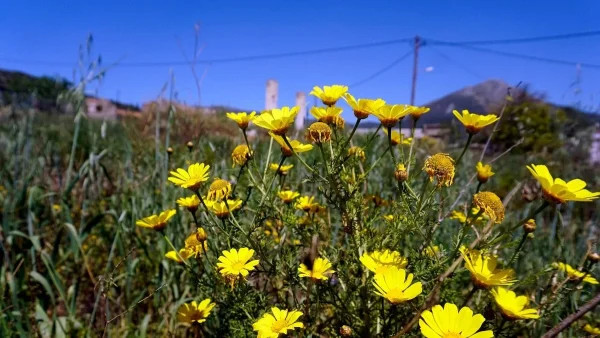 Καιρός 28/4: Σε υψηλά επίπεδα για την εποχή η θερμοκρασία σήμερα - Η πρόγνωση της ΕΜΥ