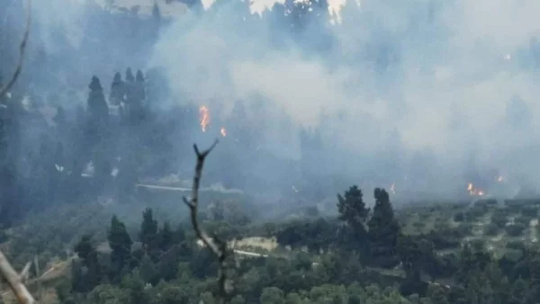 Χαλκιδική: Φωτιά σε δύσβατη δασική περιοχή στη Μόλα Καλύβα