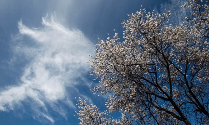 Aίθριος καιρός