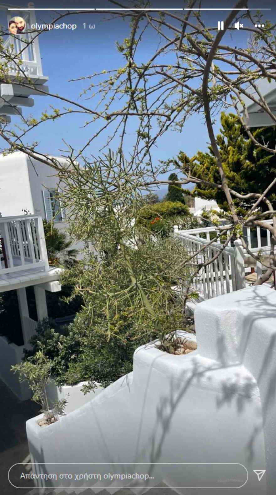 Ολυμπία Χοψονίδου Βασίλης Σπανούλης Μύκονος