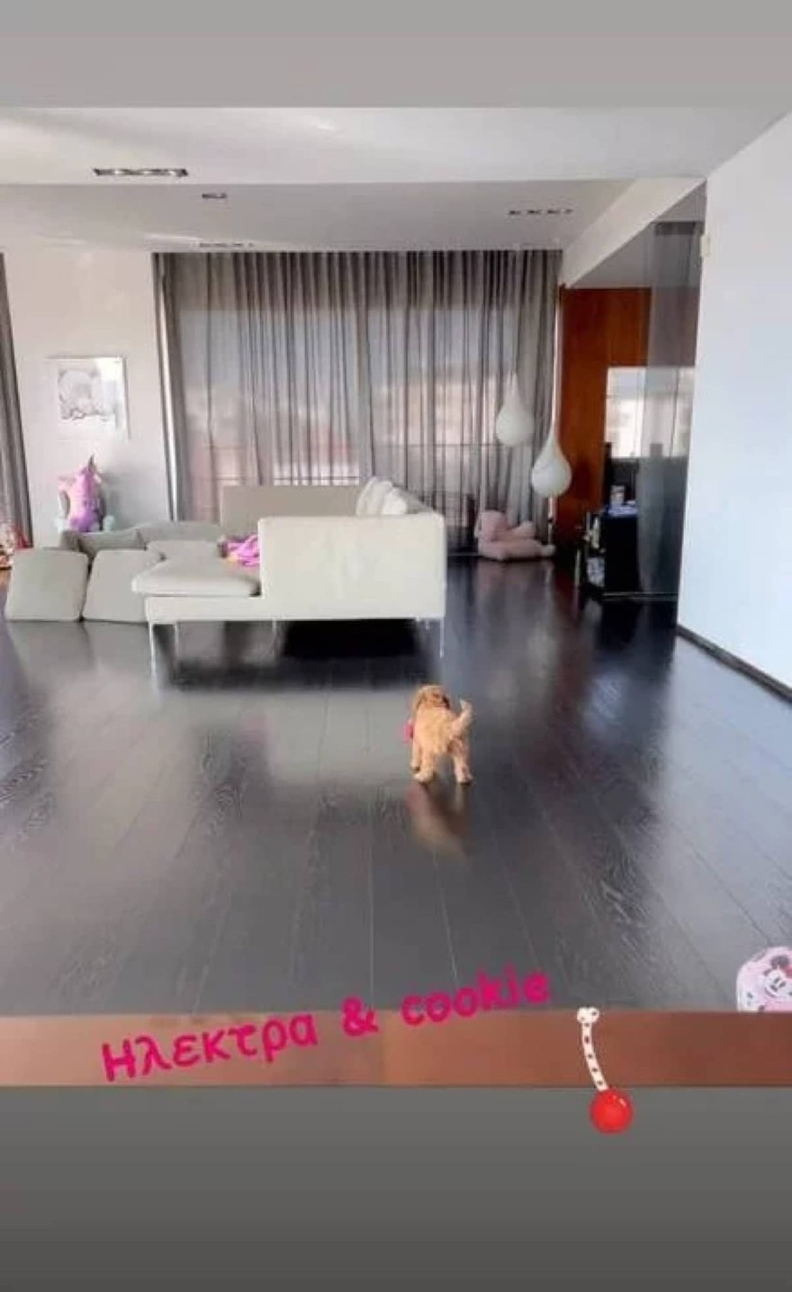 Γιώργος Λύρας Πέγκυ Ζήνα σαλόνι