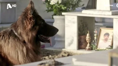 Θρήνος στον Σασμό - Πεθαίνει και πηγαίνει να βρει τον Πετρή η...