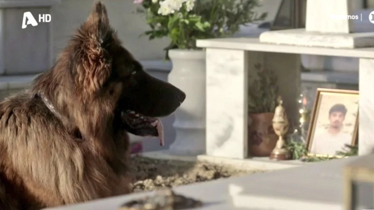 Θρήνος στον Σασμό - Πεθαίνει και πηγαίνει να βρει τον Πετρή η...