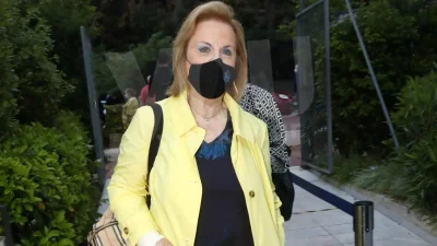 Ευλογιά Πιθήκων: «Δεν υπάρχει κίνδυνος πανδημίας» - Οι δηλώσεις της Ματίνας Παγώνη