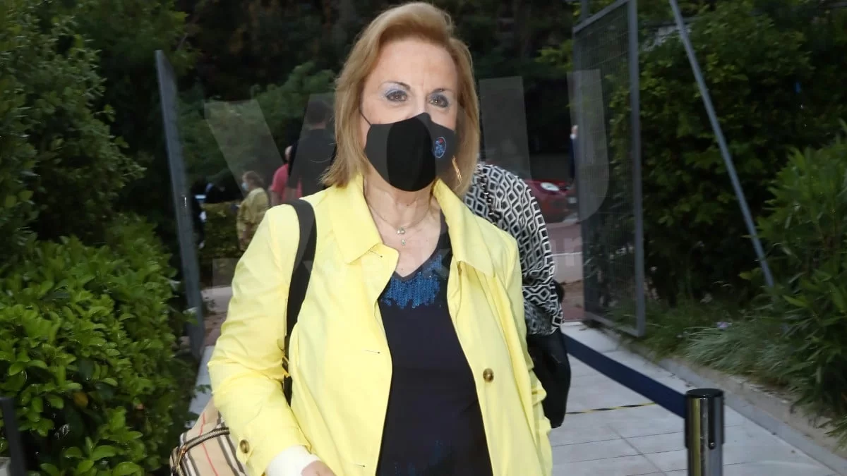 Ευλογιά Πιθήκων: «Δεν υπάρχει κίνδυνος πανδημίας» - Οι δηλώσεις της Ματίνας Παγώνη