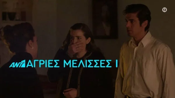 Άγριες Μέλισσες: Ο Μελέτης ετοιμάζει μια ηχηρή ανακοίνωση μετά τον τραυματισμό του