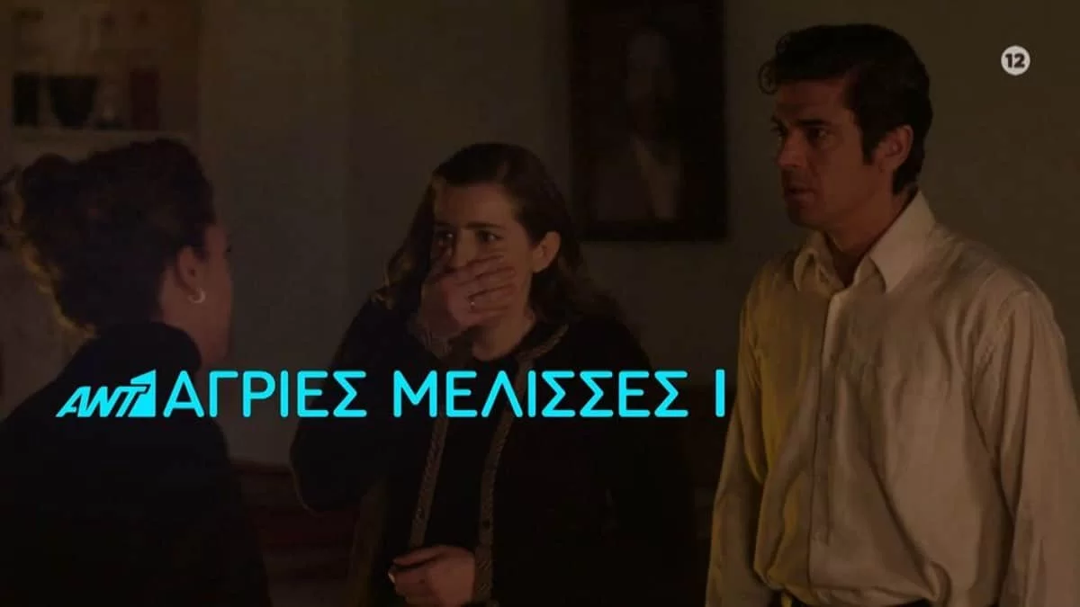 Άγριες Μέλισσες: Ο Μελέτης ετοιμάζει μια ηχηρή ανακοίνωση μετά τον τραυματισμό του