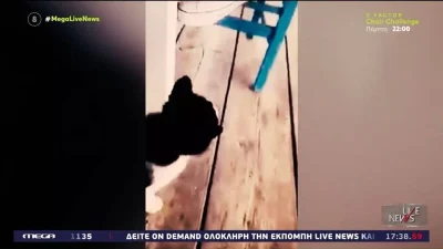 Αιδηψός: «Είναι γελοίο το περιστατικό» - Ο πατέρας του 30χρονου σοκάρει