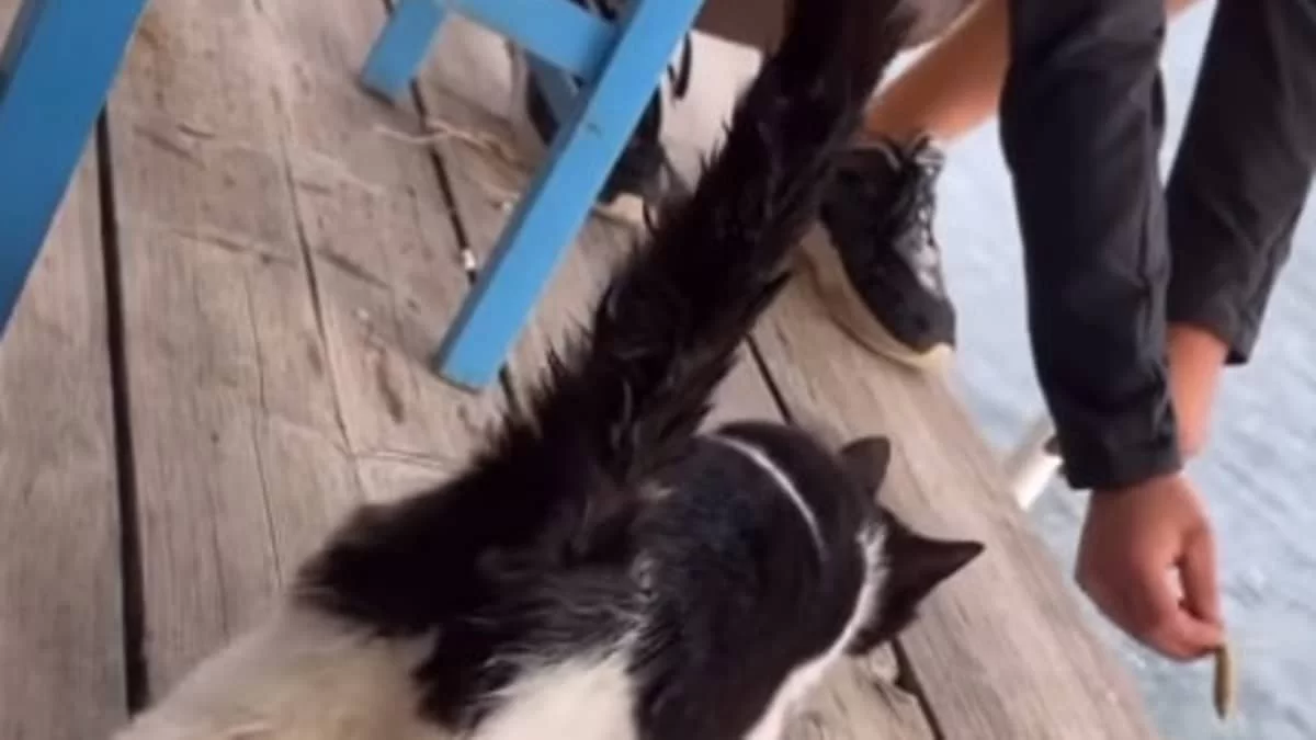 Αιδηψός: Ο 30χρονος είχε συλληφθεί με 67 κιλά κάνναβης