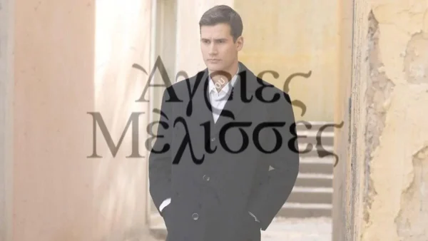 Άγριες Μέλισσες: Θανάσιμος κίνδυνος για τον Νικηφόρο - Μεγάλη αγωνία για την Ασημίνα