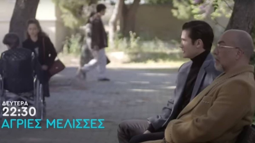 Άγριες Μέλισσες