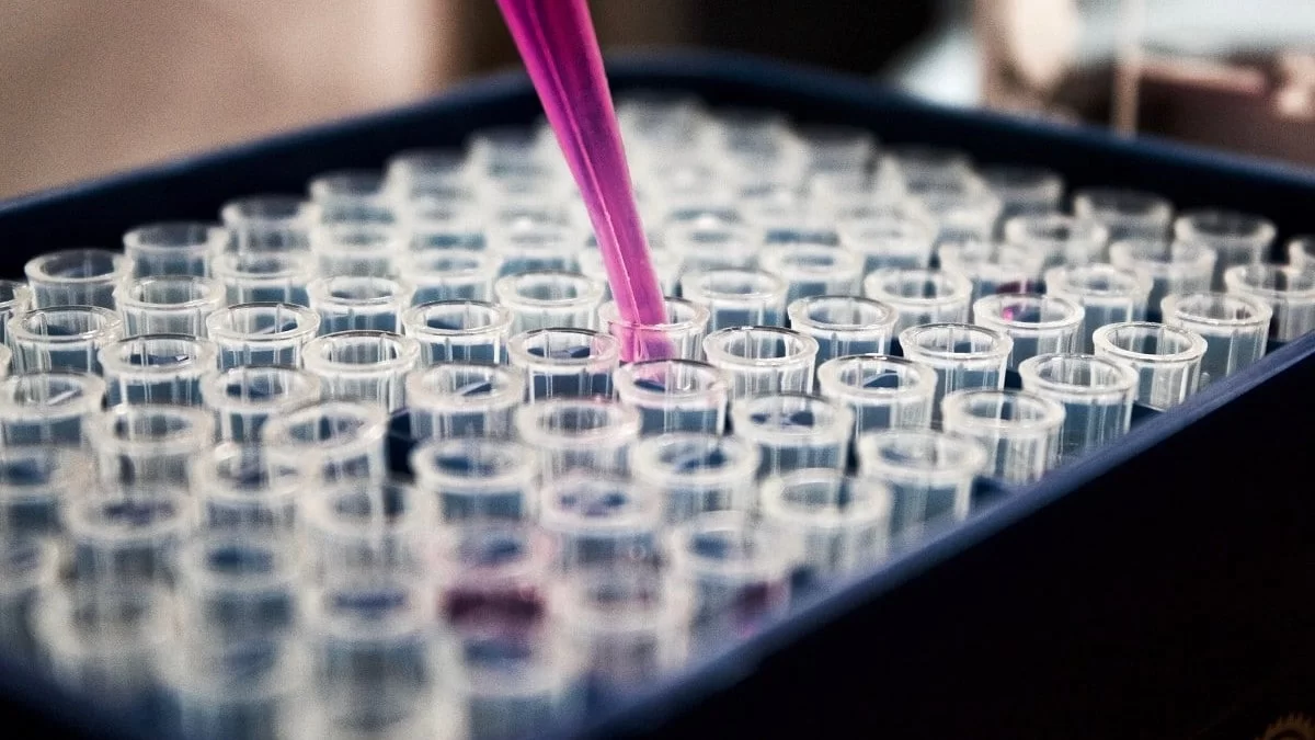 Ευλογιά πιθήκων: "Έσκασε" το πρώτο ύποπτο κρούσμα στην Ελλάδα