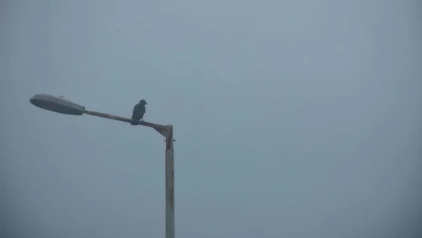 Καιρός: Αραιές νεφώσεις παροδικά πιο πυκνές σήμερα 8/5 - Που θα έχουμε καταιγίδες;