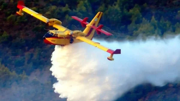 Υπό μερικό έλεγχο η πυρκαγιά στο Κάστρο Βοιωτίας